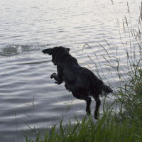 /album/don-perignon-cerna-slunicka/uvod-0523-jpg/